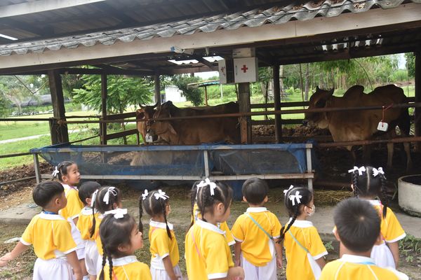โรงเรียนปรีชานุศาสน์
